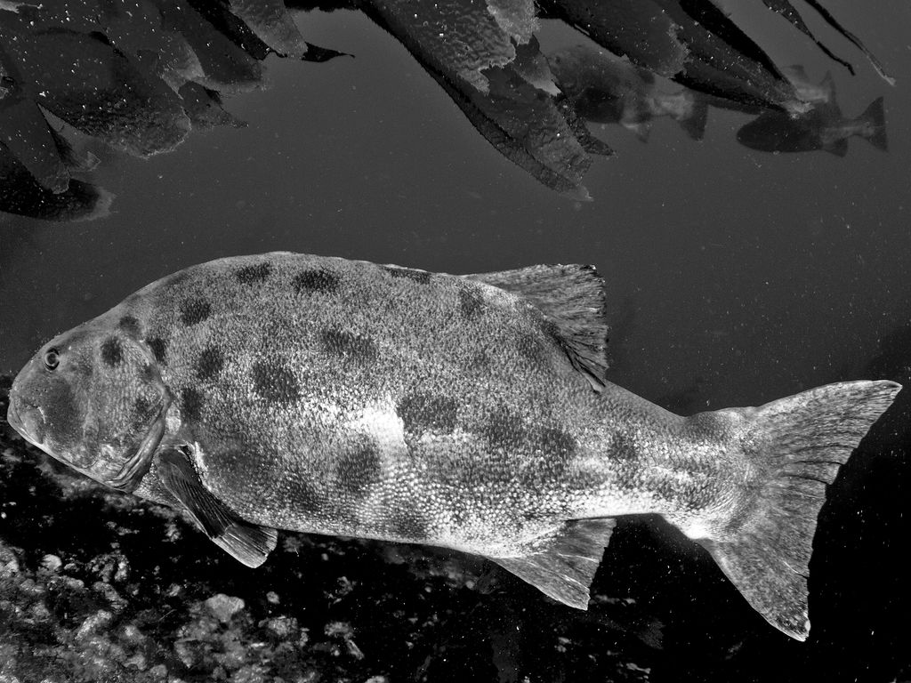 56b85307-ee2d-46e6-8462-812907049eb7