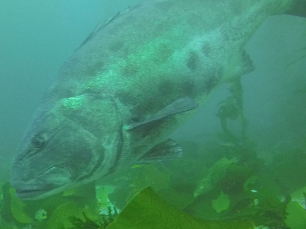 ebaf50ee-1ab3-4284-bc8e-cf3982f60387