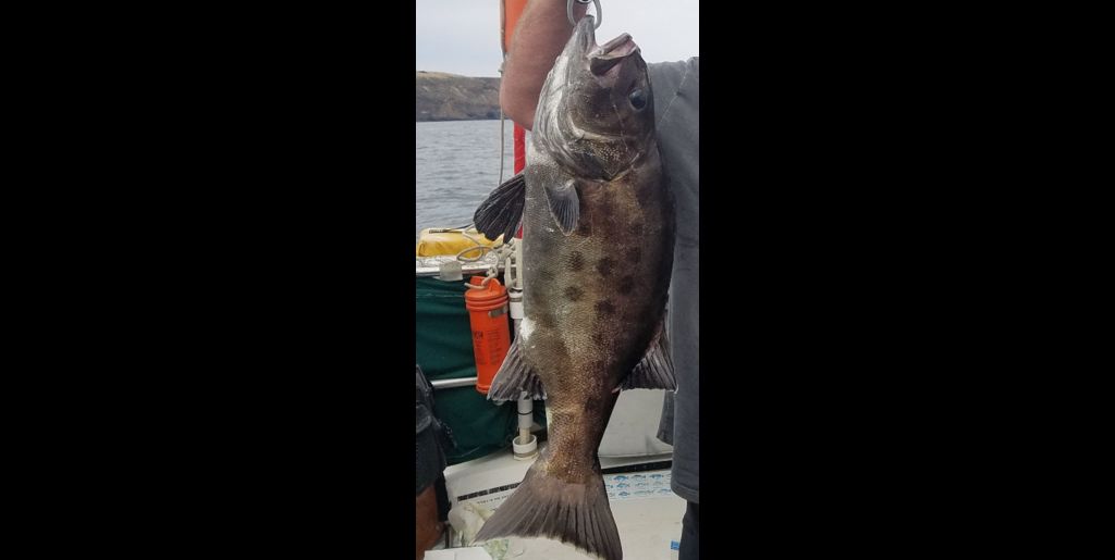 f4007643-ed99-42e2-8ee8-c161b390e142