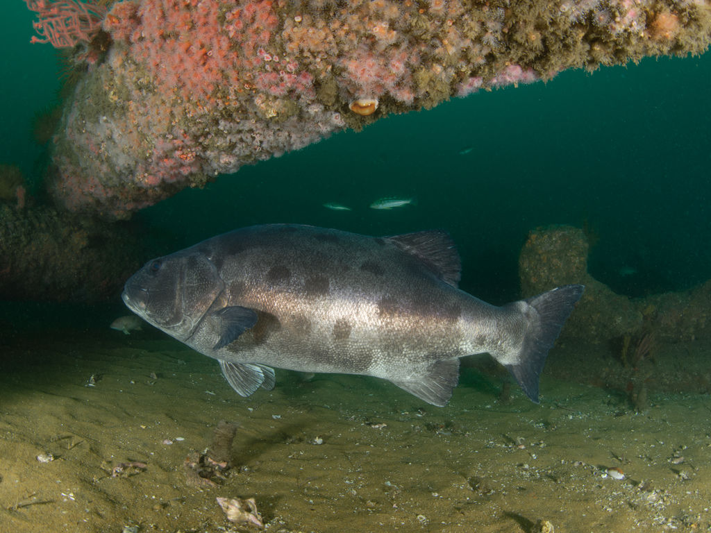 636afaa4-e619-4ce8-b66c-3202259c3c14