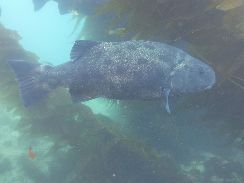 511c3f14-5fc7-4efa-a4a8-efe7ffcf4dcb