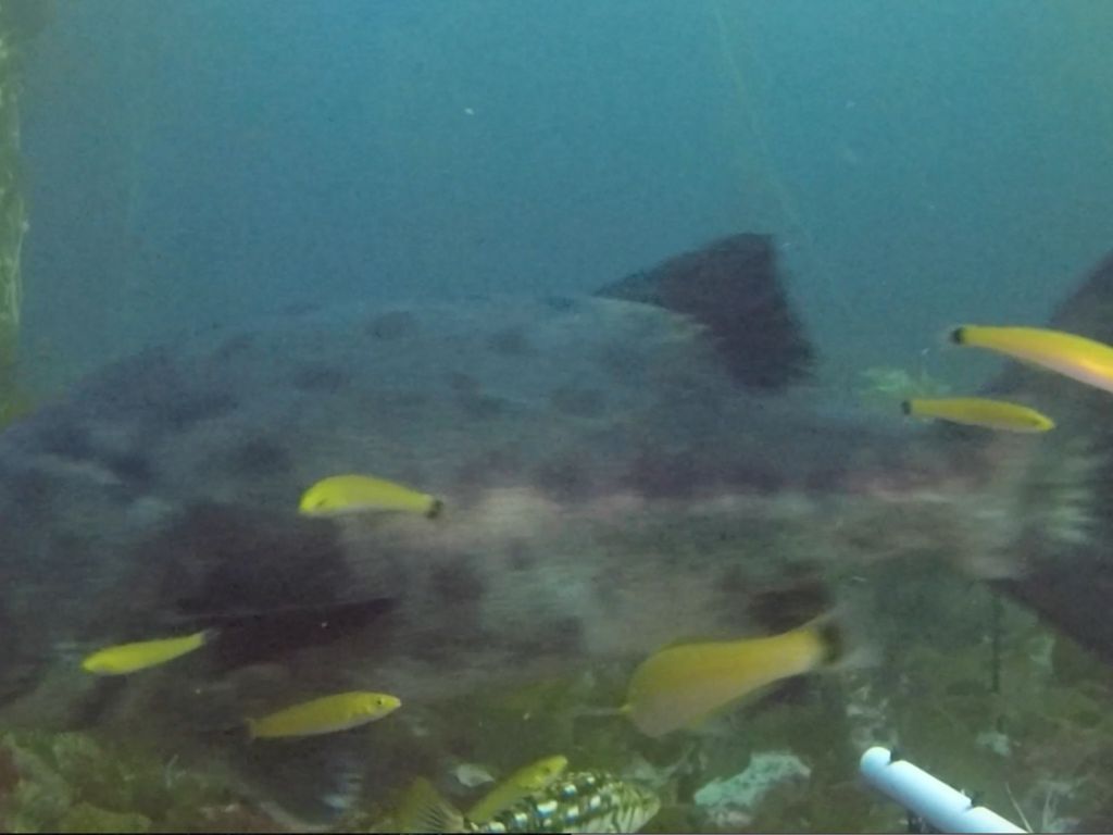 9b62b7a5-8b2c-4522-b6de-dc2480e0254f