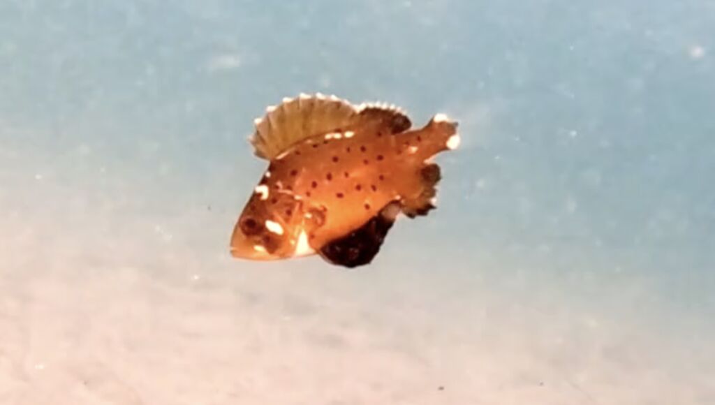 3c5ff052-1d5e-415e-8086-7588076e8c3b