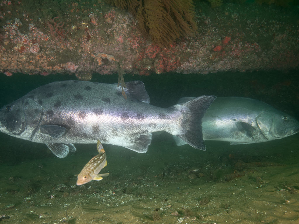 ab348a65-3e87-41ae-b843-affc765f7ff9