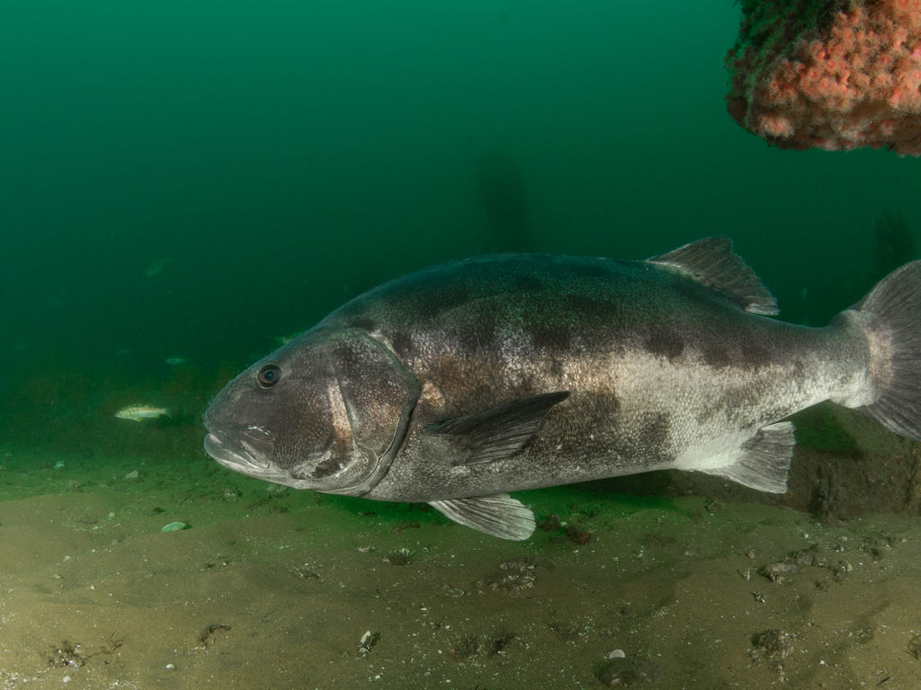 e85fcc45-019b-4699-8f0b-3878139213d7