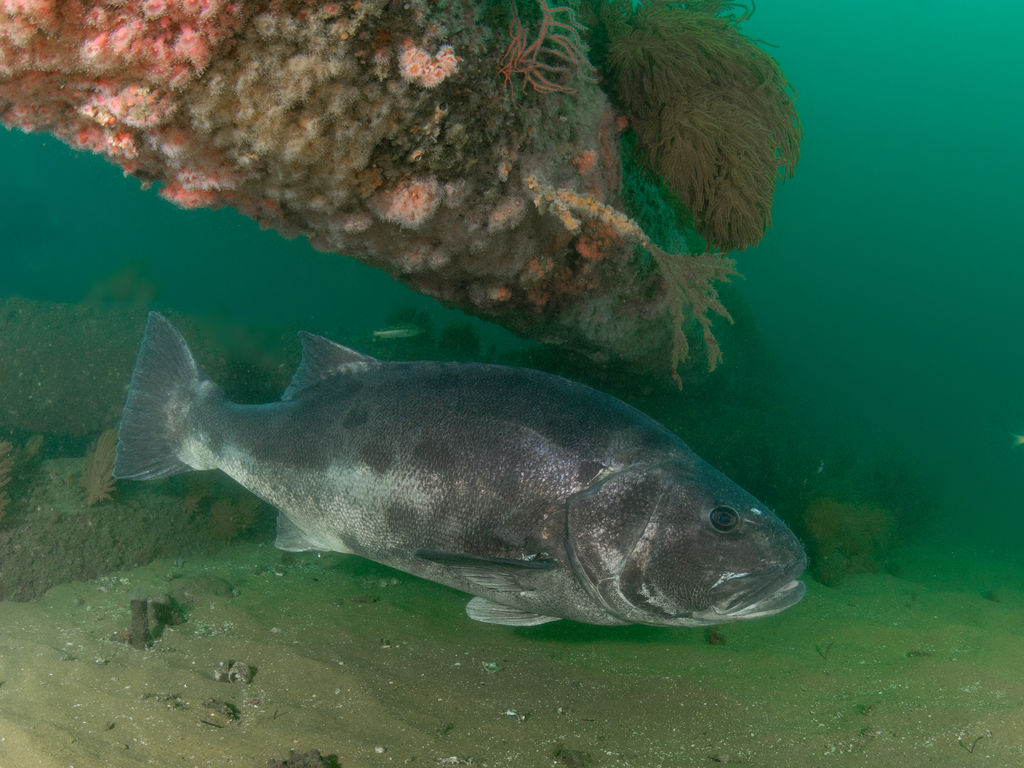 e85fcc45-019b-4699-8f0b-3878139213d7