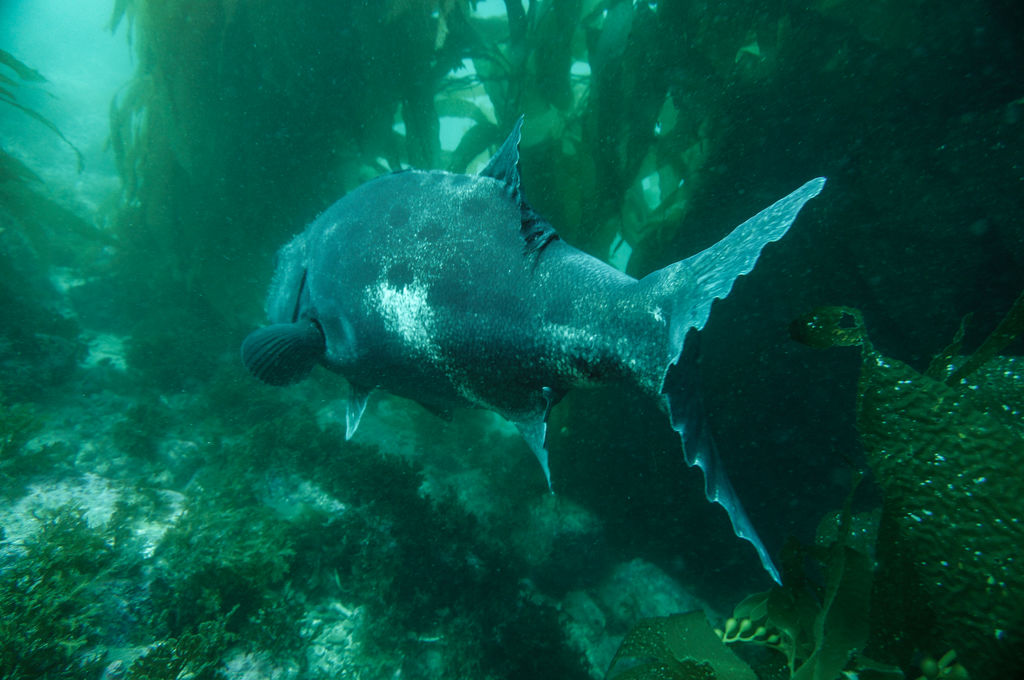 a087d8d1-4337-406a-bdbc-8096386e2692