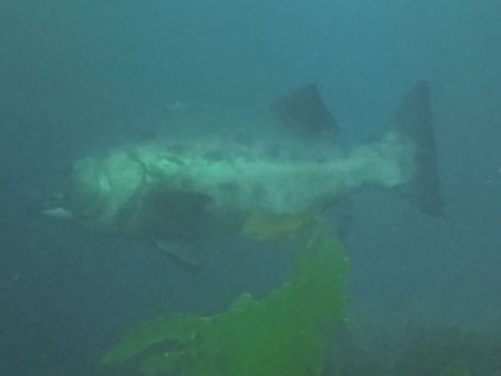 c6b9a192-a5e2-4cfd-b08f-856ce191d584