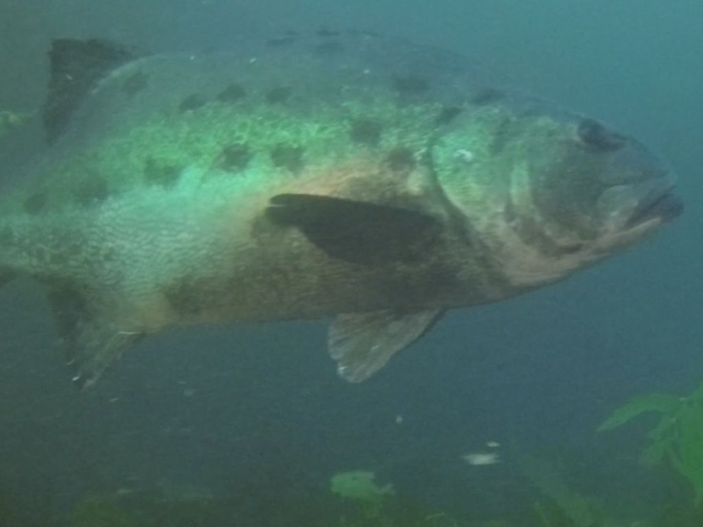 c6b9a192-a5e2-4cfd-b08f-856ce191d584