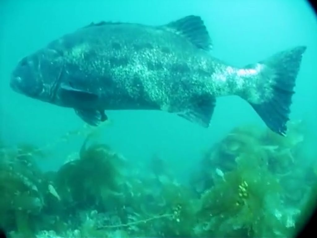 04431ef7-7272-47e0-a507-3588d3f4c61a