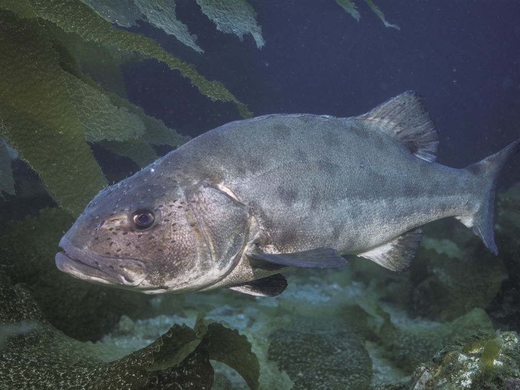 e2fca86f-3fcc-488a-a8df-5bdbbe2ae6b3