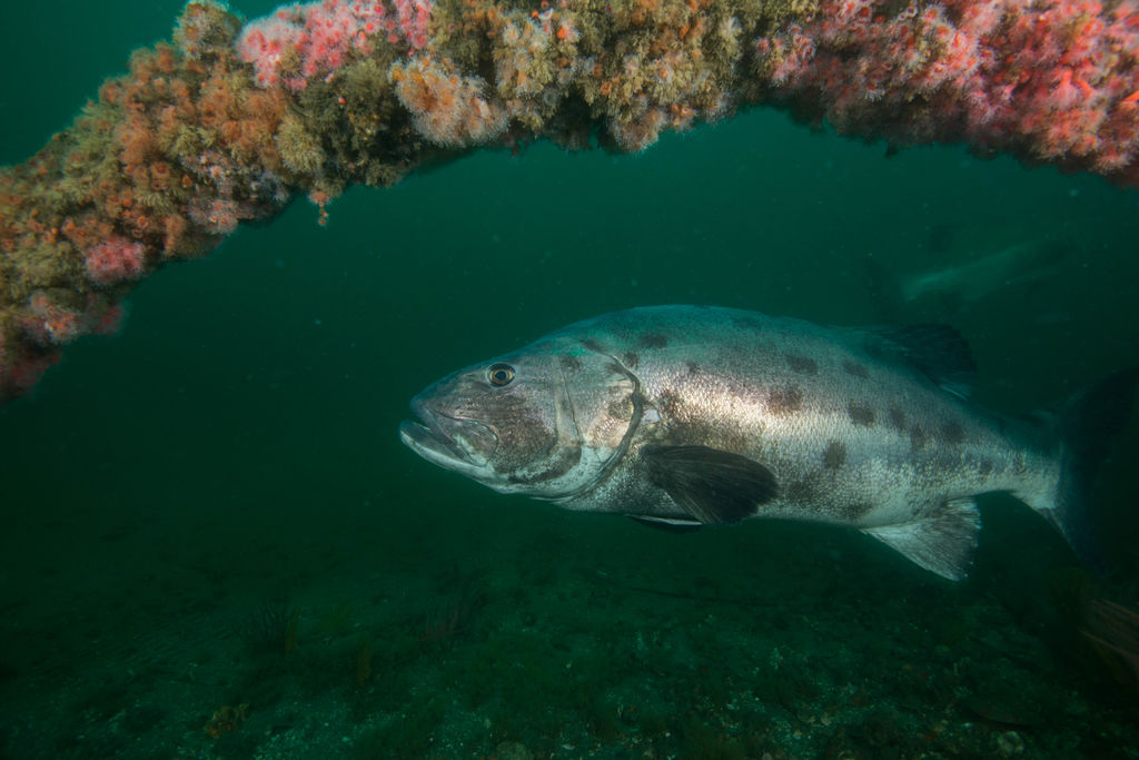 8673ee3d-b249-4875-9be7-95252e5eb5bd