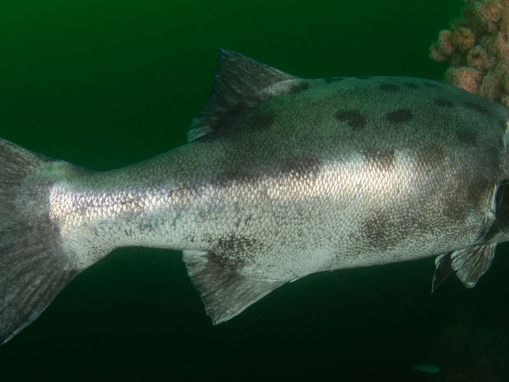 9d938deb-a821-4db1-8300-7ccf767ddf46