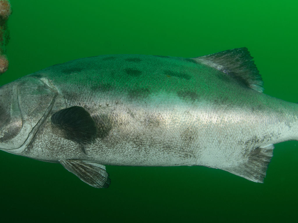 9d938deb-a821-4db1-8300-7ccf767ddf46