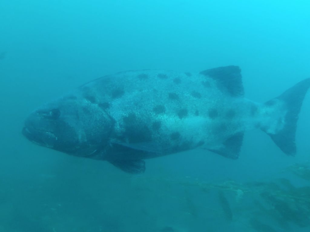 53503327-1504-4159-885c-256bc0c61ffb