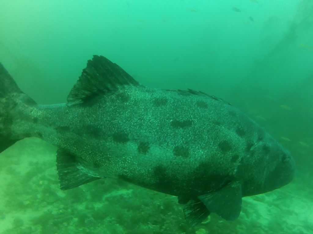 53503327-1504-4159-885c-256bc0c61ffb