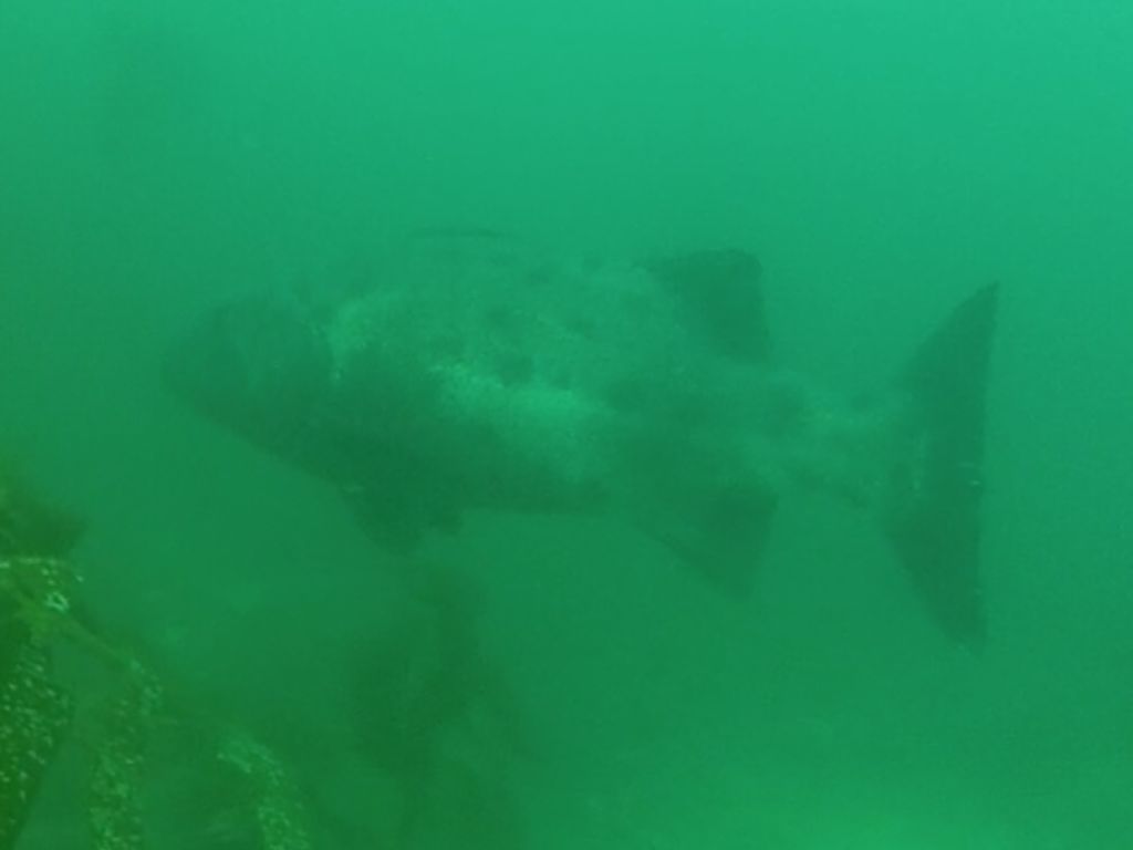 53503327-1504-4159-885c-256bc0c61ffb