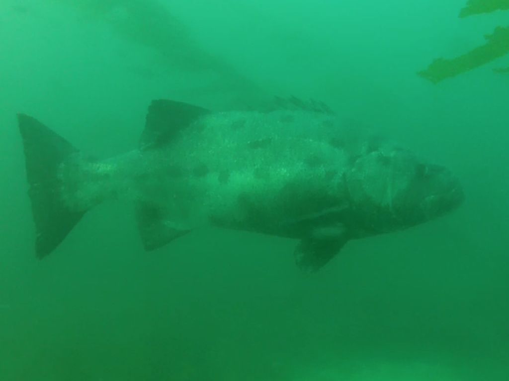 53503327-1504-4159-885c-256bc0c61ffb