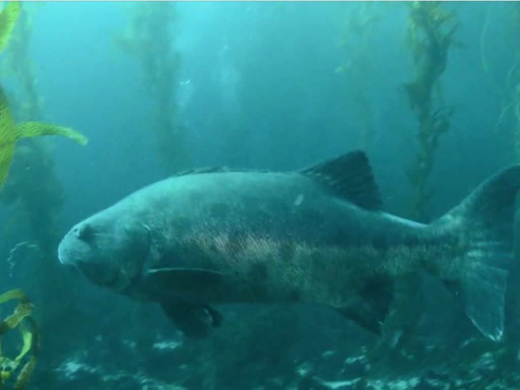 2e933db9-0b5d-403b-946b-708a1221f9fd