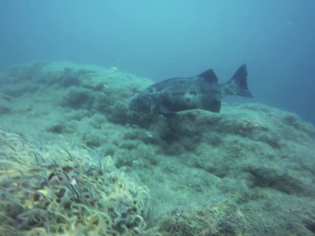 baa829a6-d3c7-445c-876a-b2a9c465494b