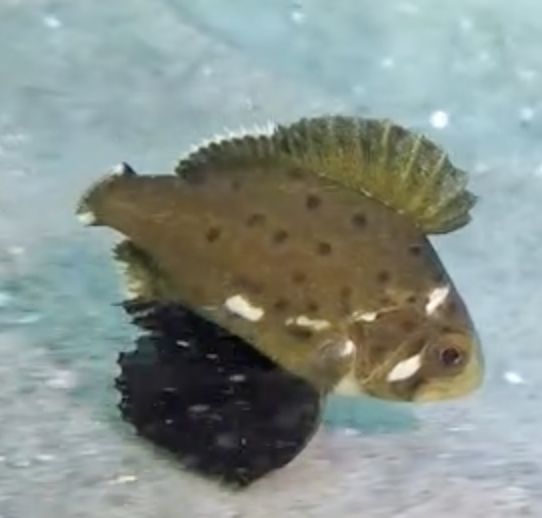 30d02cdf-a4ef-4210-ad35-2a2e4bd9078f