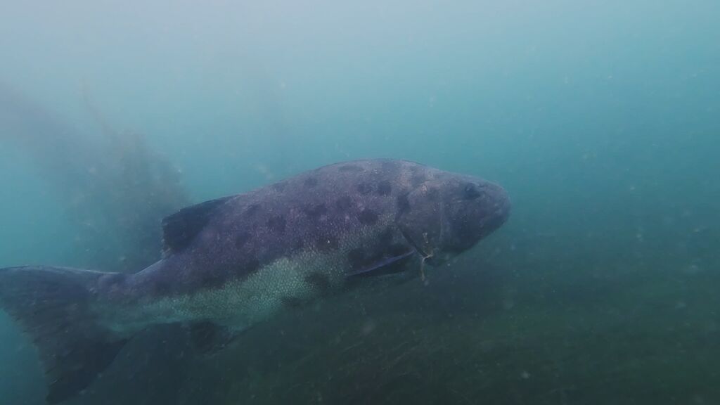 ad2167df-6563-41f5-adb2-1d04c0891509