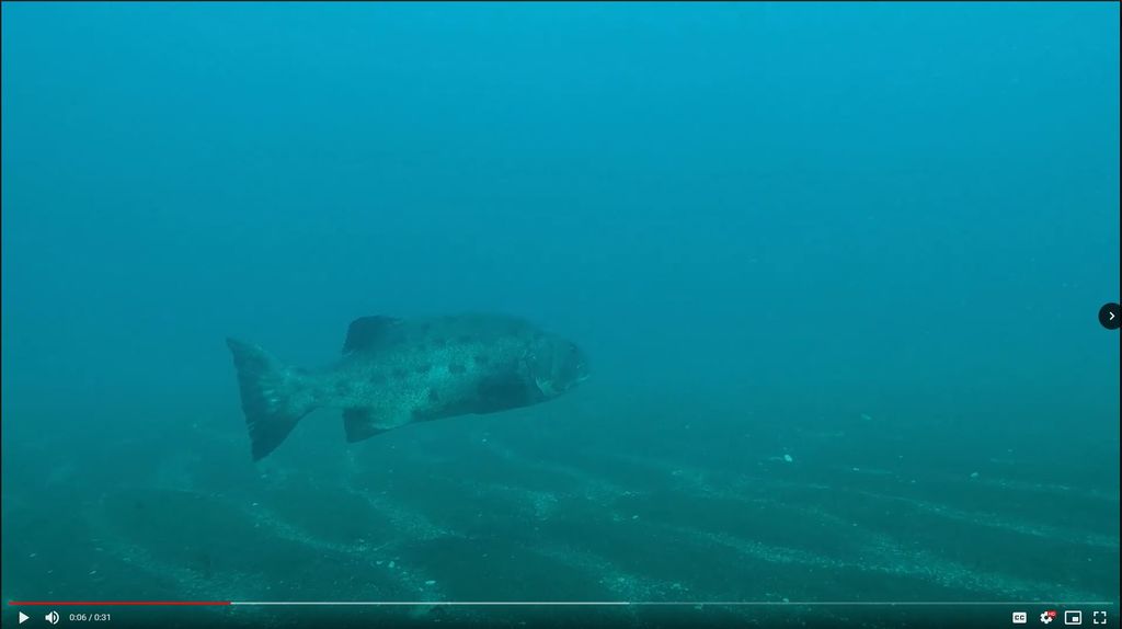 dd38fd36-1962-4b6a-9c6f-1e6e0f57dcd9