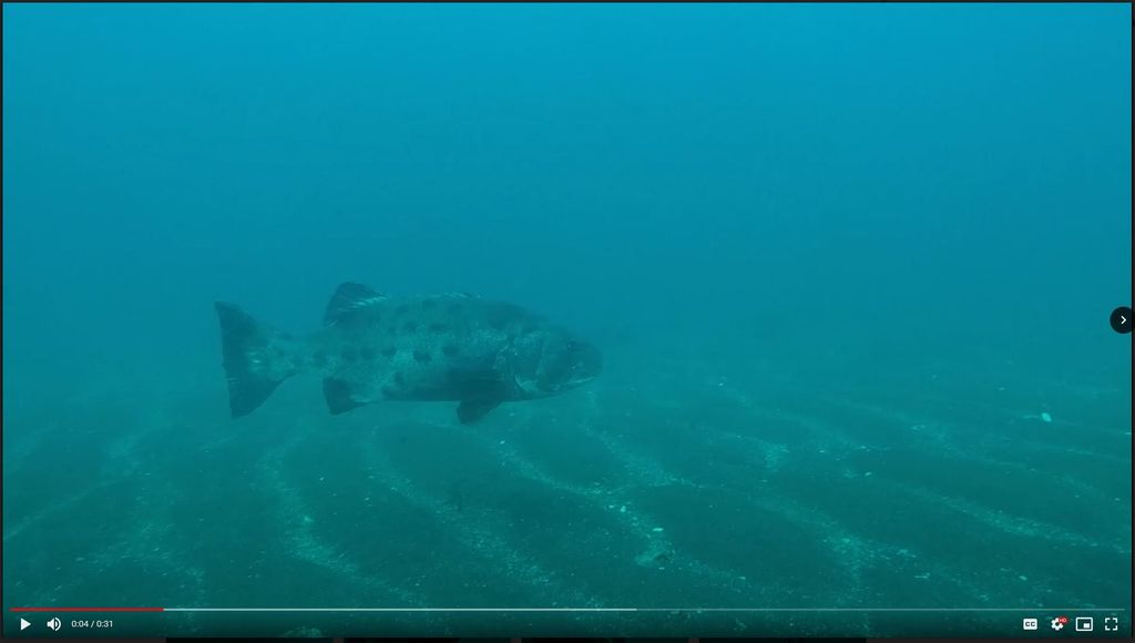 dd38fd36-1962-4b6a-9c6f-1e6e0f57dcd9