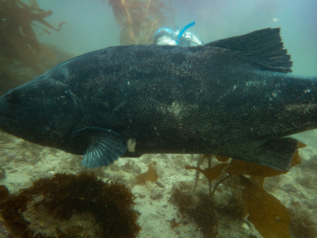 cd7e45c0-0e73-4c50-9921-78be67ef8e29