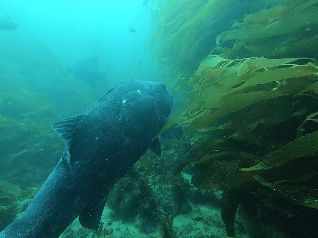 506fa7cf-a9cd-4808-910c-9ff836b4cd43