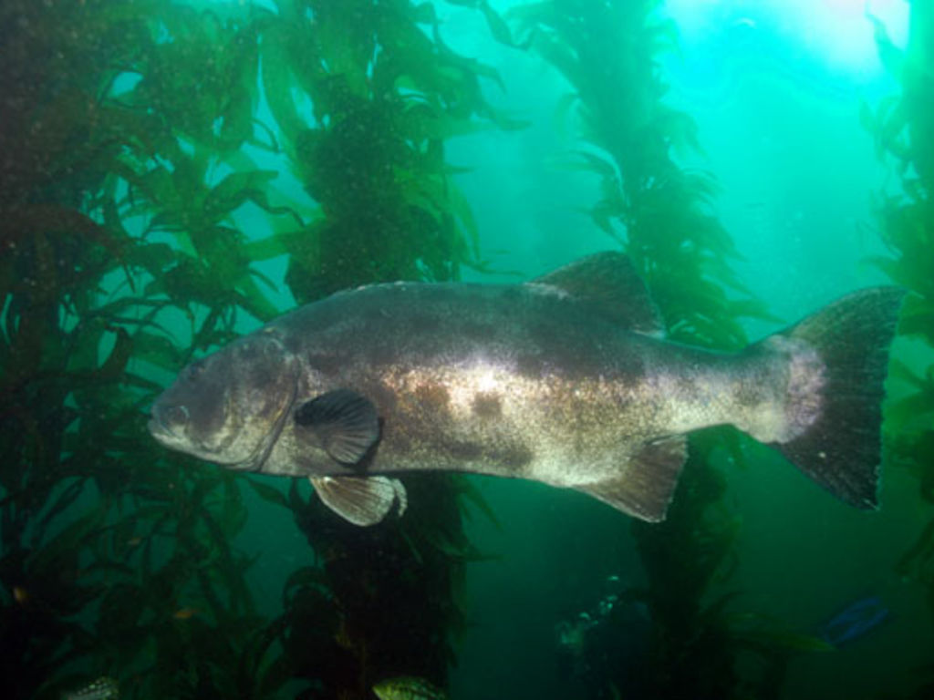 80093e36-ef25-4a71-bce9-84edb3bef3c8