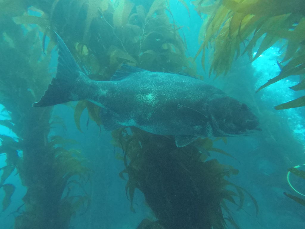 e64c272a-33c2-4ffc-be37-1a63b724ea4f