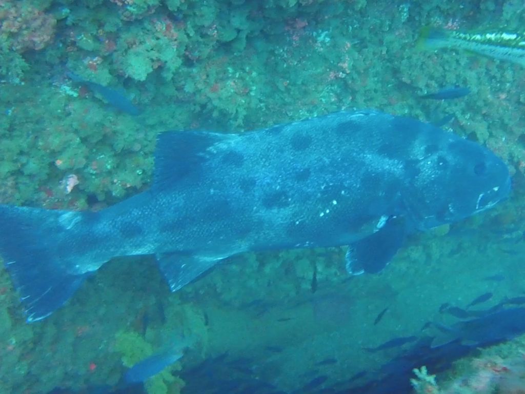 9c2c366c-061d-4f06-8ad2-1b509d04c516