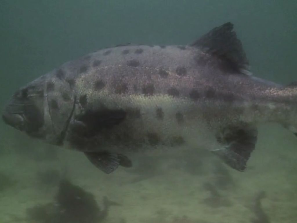 3a9fd69d-31f8-43fd-b75b-487e700429c2