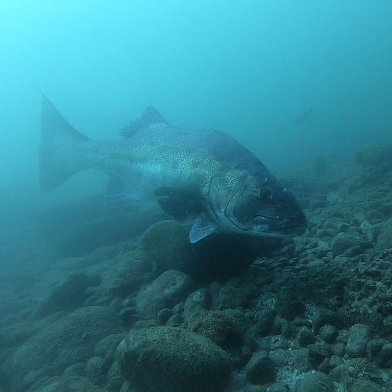 c22cb4b8-0ddf-4242-b6b9-025c4acd32f4