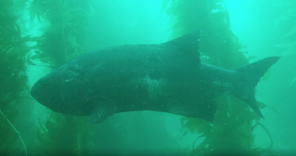 79cee9cd-2ae0-4953-a8e5-7f7d76af437f