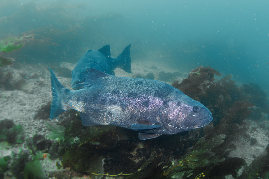 decdd11c-ff22-46a1-99a6-26eb93b3ffcd