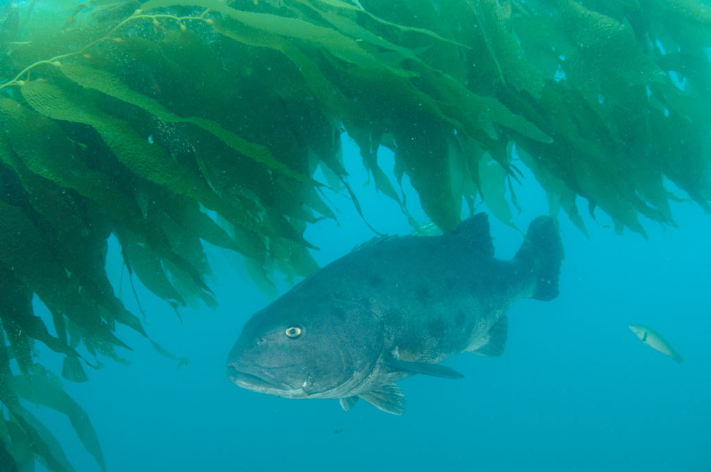 fe206e62-2091-49b1-a123-20cf8b3205e0