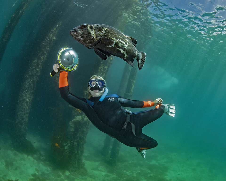 2b61c0fd-dfd2-4ead-97df-337d71d8d7d1