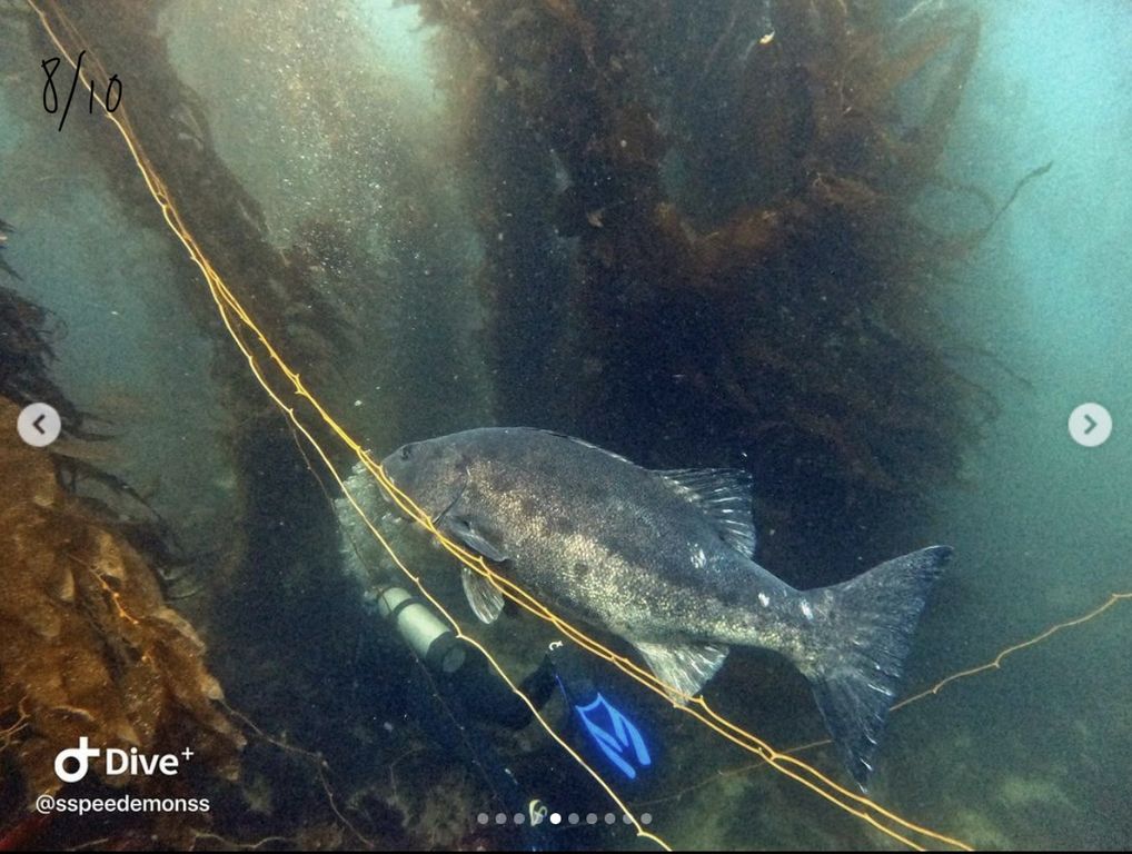 2bb369ed-a118-4387-8524-fec0e974fce5