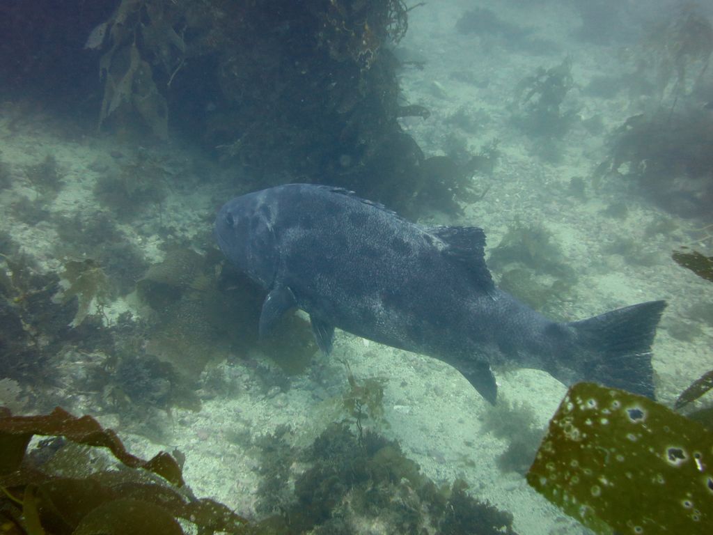 458fc7e2-95f3-4d9a-a9e6-cf2b49412684