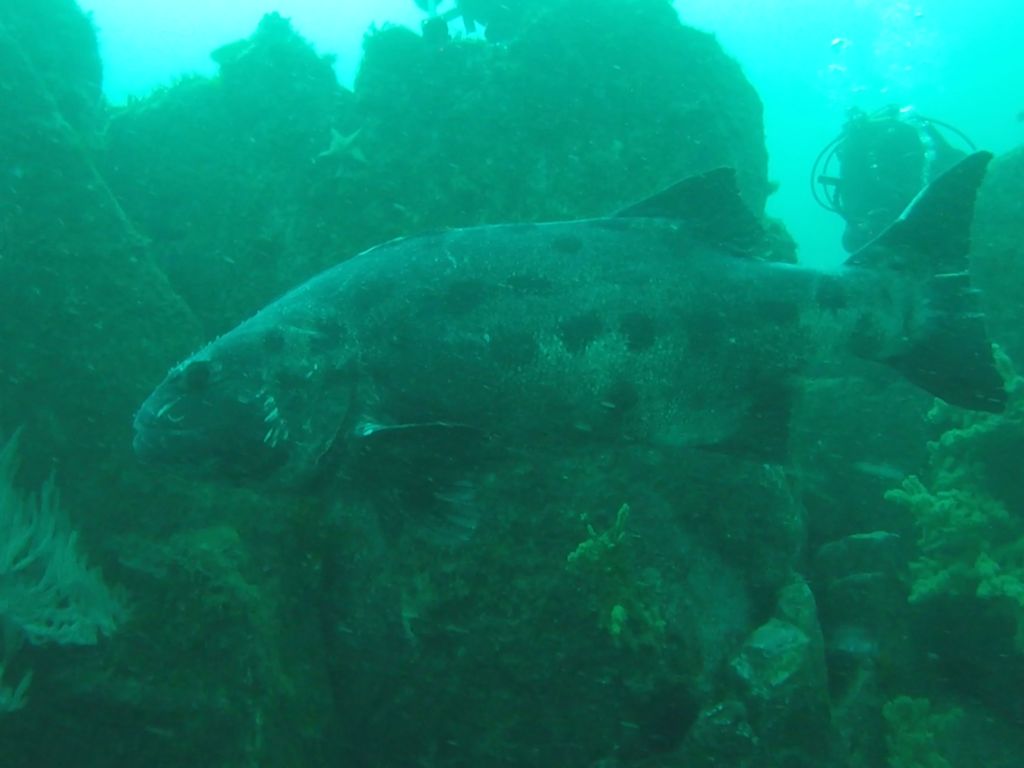 c0302867-6897-445a-8596-cfe5f9223cfd