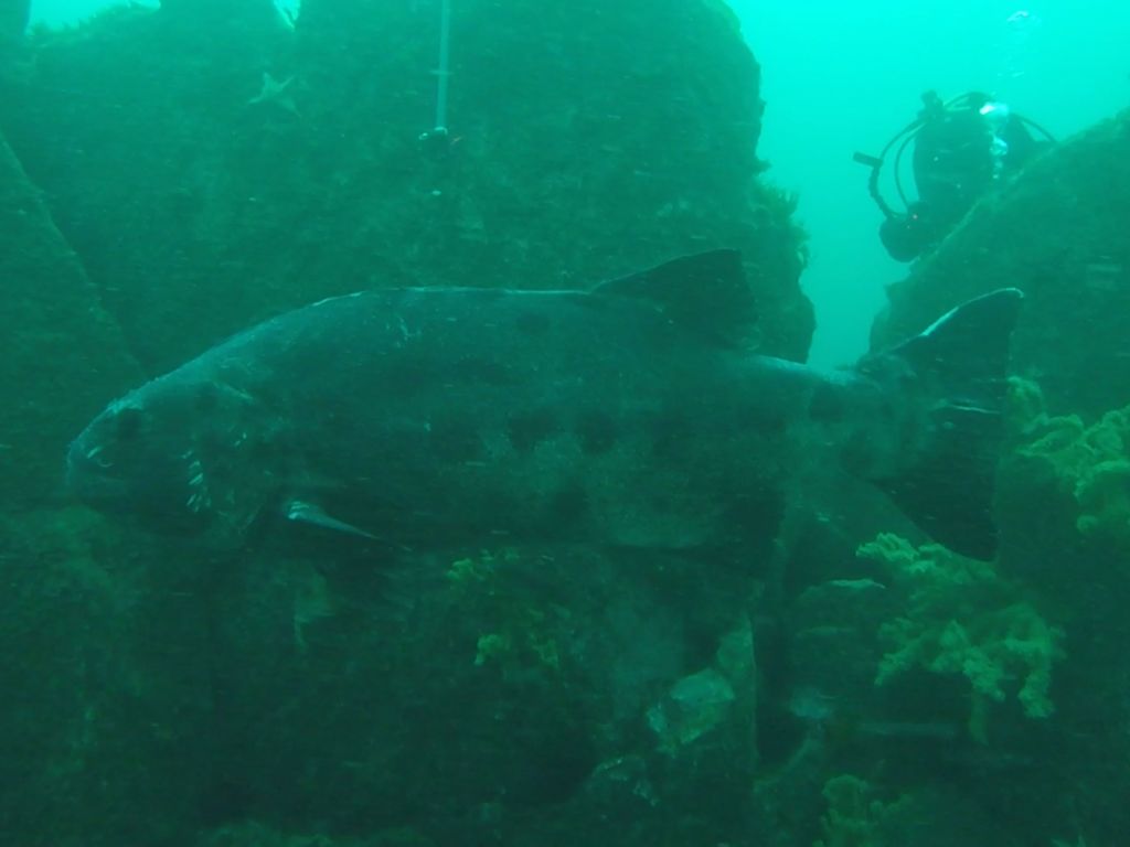 c0302867-6897-445a-8596-cfe5f9223cfd