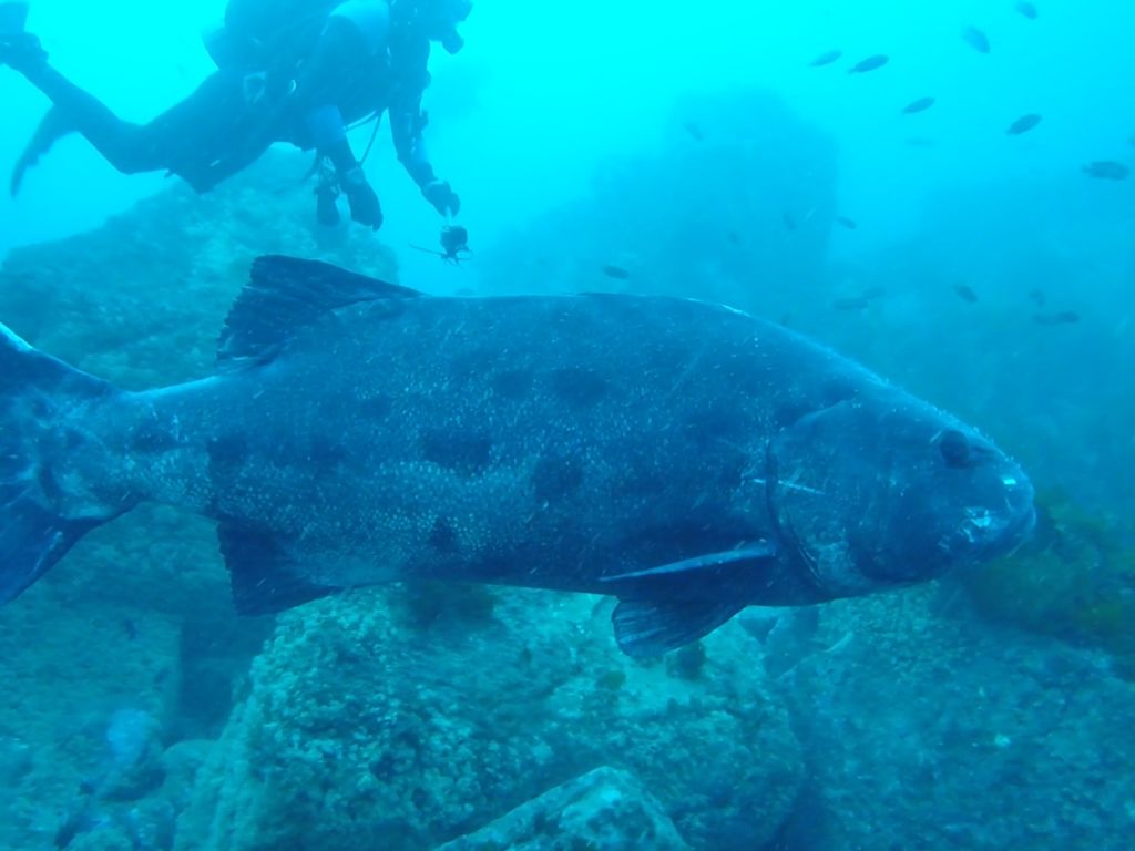 c0302867-6897-445a-8596-cfe5f9223cfd