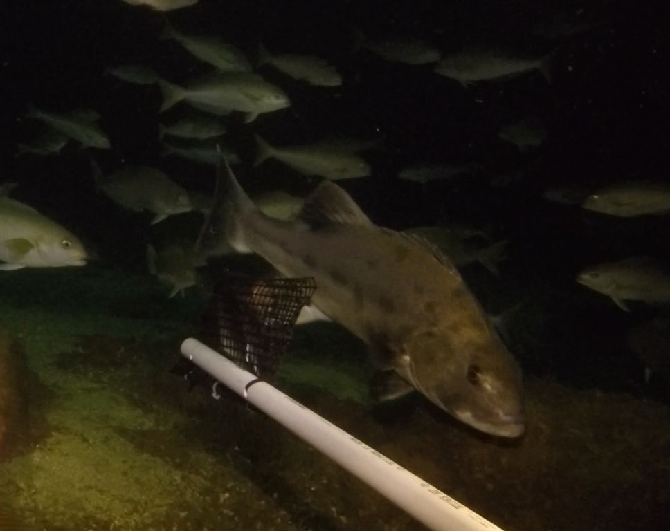 2fdc9249-bd60-4fcf-8b47-46093e8c558d