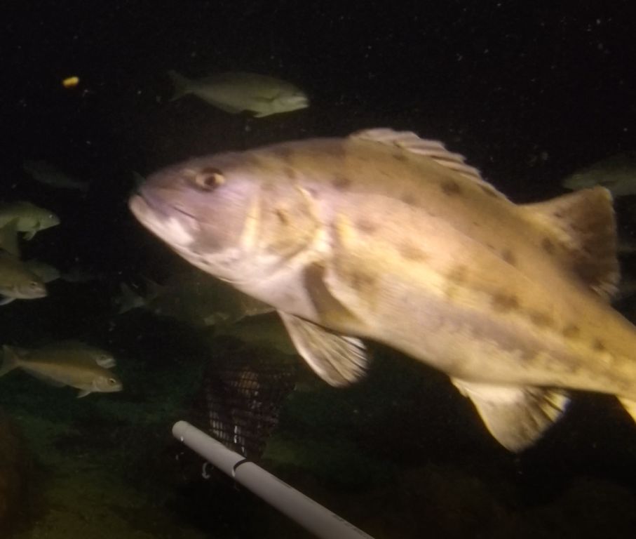 2fdc9249-bd60-4fcf-8b47-46093e8c558d