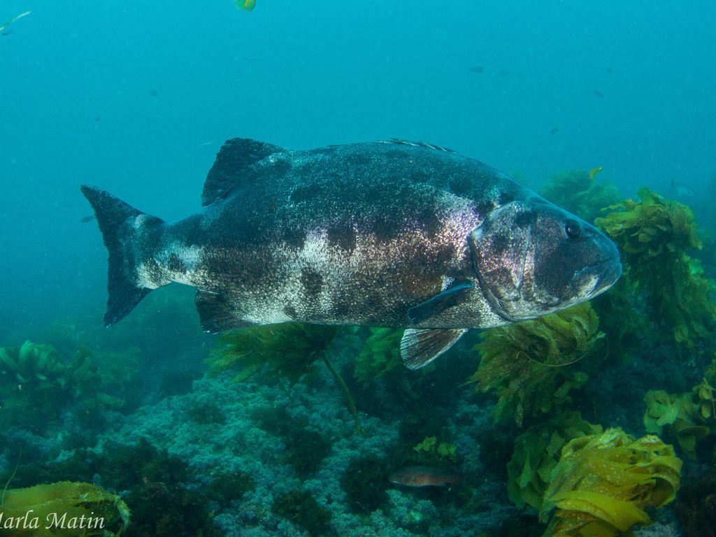 3963984a-75cc-45a3-a371-bfa01fa9582b