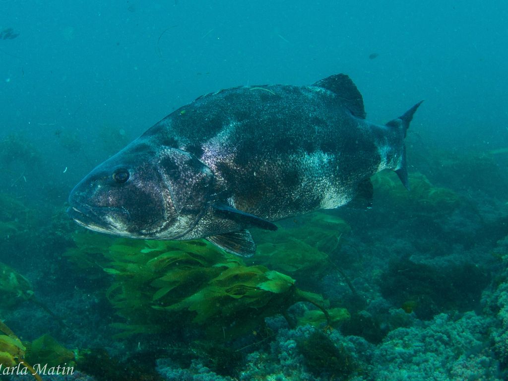 3963984a-75cc-45a3-a371-bfa01fa9582b