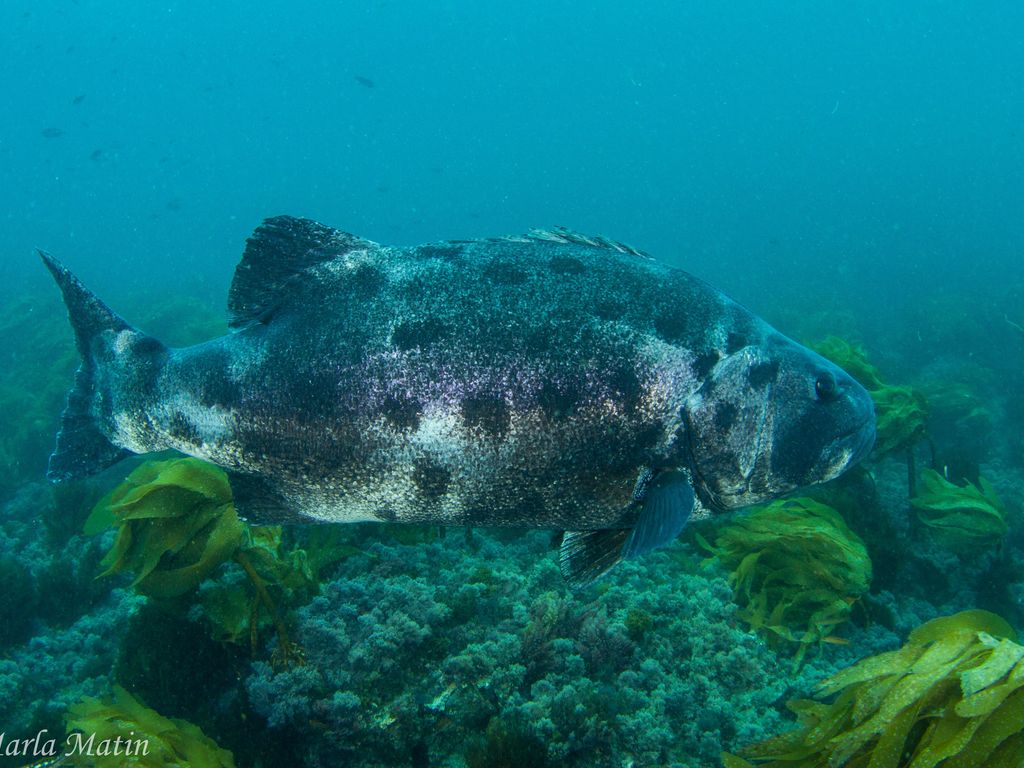 3963984a-75cc-45a3-a371-bfa01fa9582b