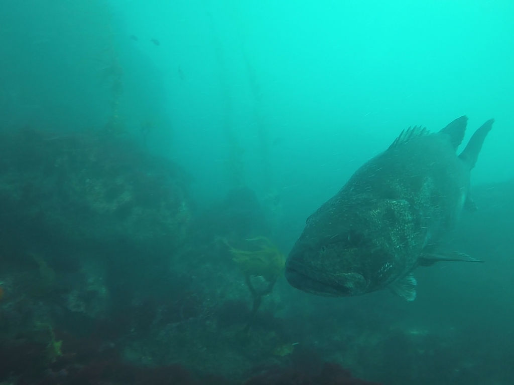 3e815a94-dde9-4935-9dc5-eb62b92f5b51